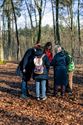 Op zoek naar poëzie tussen de bomen