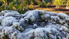 Vanochtend was het -2,1 graden