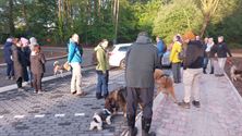 Een vroege ochtendwandeling over het vlonderpad