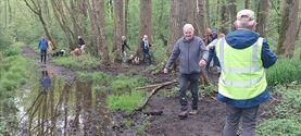 Een vroege ochtendwandeling over het vlonderpad