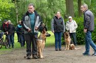 Indrukwekkend wat Duitse herders presteren