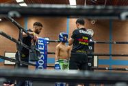 Kickboxers maken er een spektakel van
