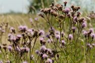 Neos: bewegen en genieten in omgeving Kinrooi