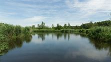 Neos: bewegen en genieten in omgeving Kinrooi