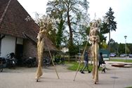 Een erg geslaagde Dag van de Wijers op Bovy