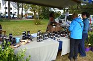 Een erg geslaagde Dag van de Wijers op Bovy