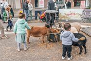 72ste Braderie was een topeditie