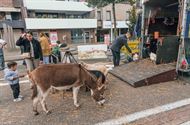 72ste Braderie was een topeditie
