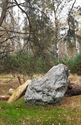 Natuurrijkdom rond de mijnterril