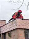 Brandweer haalt Piet van dak in De Linde