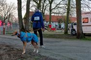 Dappere wandelaars vertrokken in frisse ochtend