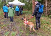 Reddingshonden zoeken slachtoffers in Helzoldbos
