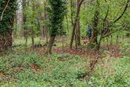 Reddingshonden zoeken slachtoffers in Helzoldbos