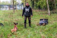 Reddingshonden zoeken slachtoffers in Helzoldbos