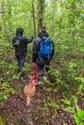 Reddingshonden zoeken slachtoffers in Helzoldbos