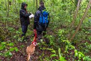 Reddingshonden zoeken slachtoffers in Helzoldbos