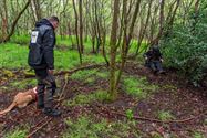 Reddingshonden zoeken slachtoffers in Helzoldbos