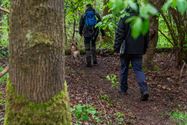 Reddingshonden zoeken slachtoffers in Helzoldbos