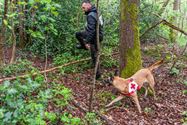 Reddingshonden zoeken slachtoffers in Helzoldbos