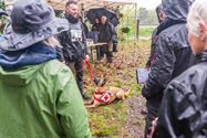 Reddingshonden zoeken slachtoffers in Helzoldbos