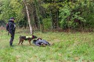Reddingshonden zoeken slachtoffers in Helzoldbos