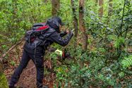 Reddingshonden zoeken slachtoffers in Helzoldbos