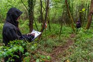 Reddingshonden zoeken slachtoffers in Helzoldbos