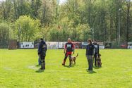 Reddingshonden doen gehoorzaamheidsproeven