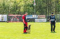 Reddingshonden doen gehoorzaamheidsproeven