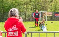 Reddingshonden doen gehoorzaamheidsproeven