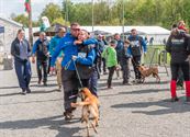 De honden moeten zich dag na dag bewijzen