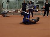 Senioren beleefden toffe sportdag in de Velodroom