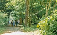 Prachtige kinderkunst in bruisend kunstenfestival