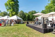 Prachtige kinderkunst in bruisend kunstenfestival