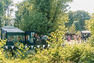 Prachtige kinderkunst in bruisend kunstenfestival