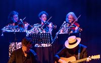 Een heerlijke muziekavond met Lieven Tavernier