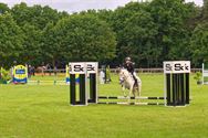 Paarden en pony's springen in een mooi decor