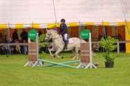 Paarden en pony's springen in een mooi decor