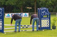 Paarden en pony's springen in een mooi decor