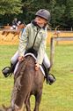 Paarden en pony's springen in een mooi decor