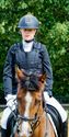 Paarden en pony's springen in een mooi decor