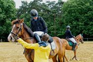 Paarden en pony's springen in een mooi decor