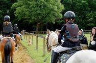 Paarden en pony's springen in een mooi decor