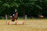 Paarden en pony's springen in een mooi decor