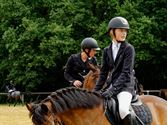 Paarden en pony's springen in een mooi decor
