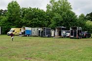 Paarden en pony's springen in een mooi decor
