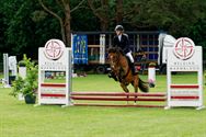 Paarden en pony's springen in een mooi decor