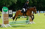 Paarden en pony's springen in een mooi decor