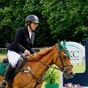 Paarden en pony's springen in een mooi decor