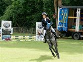 Paarden en pony's springen in een mooi decor